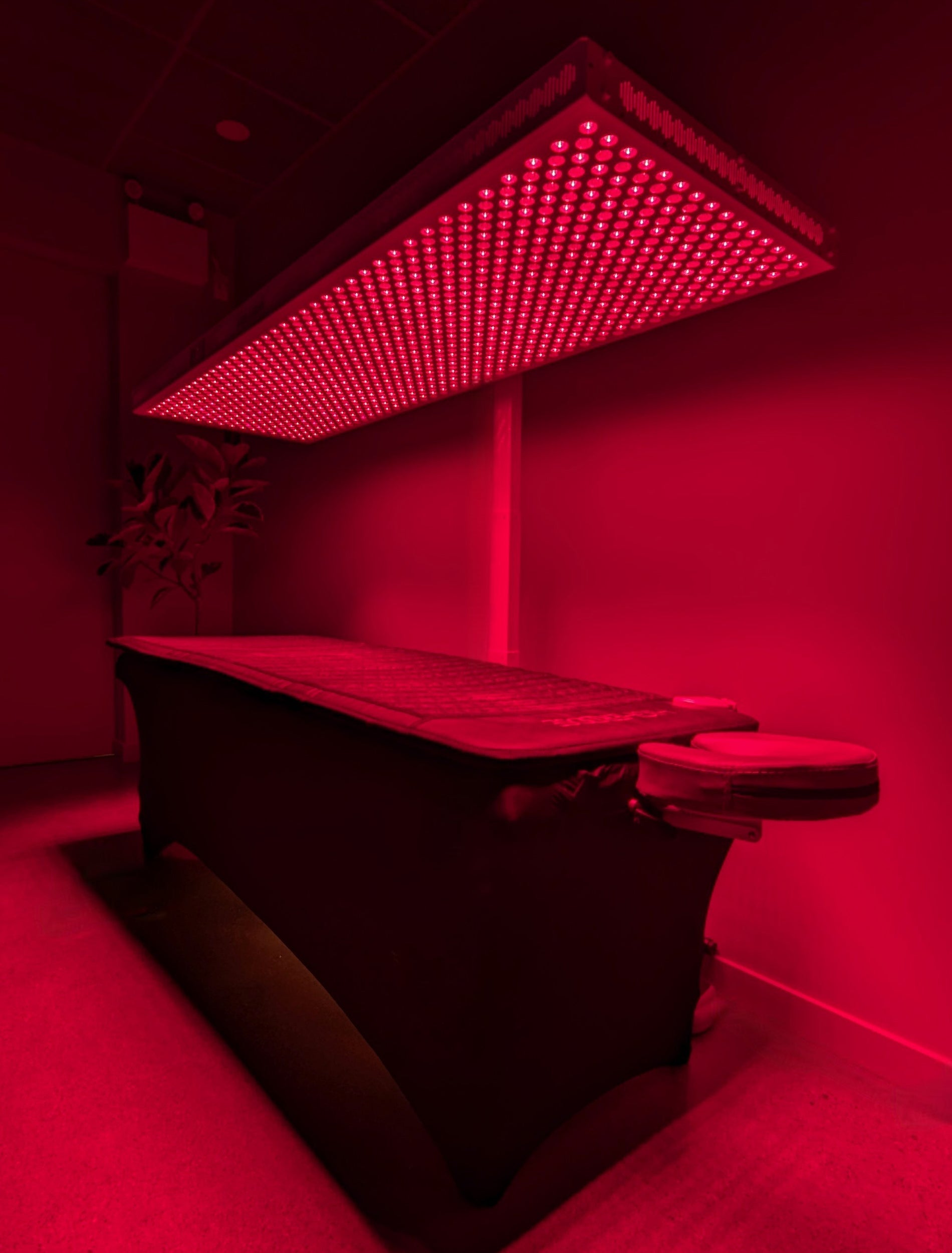 Red Light Therapy