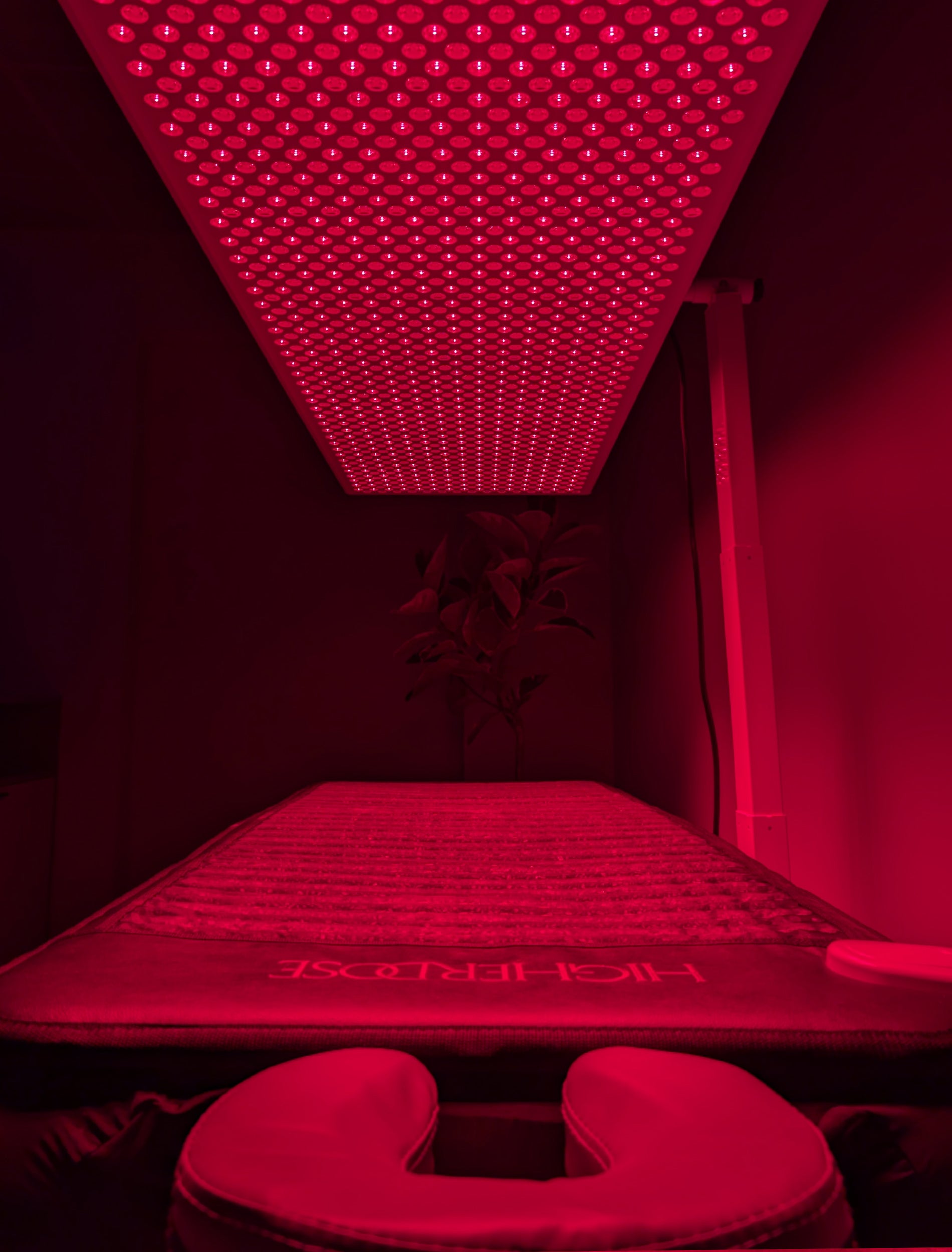 Red Light Therapy